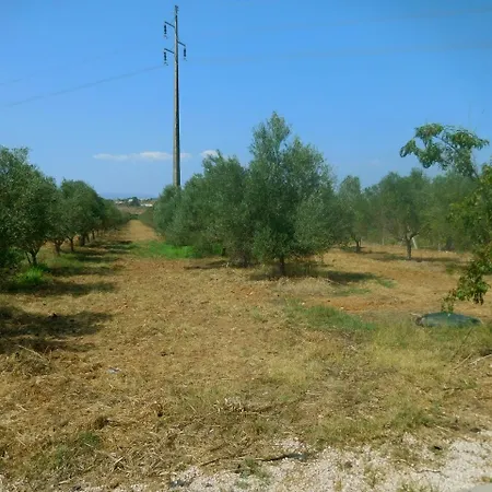 펜션 Quinta De Sao Joao *